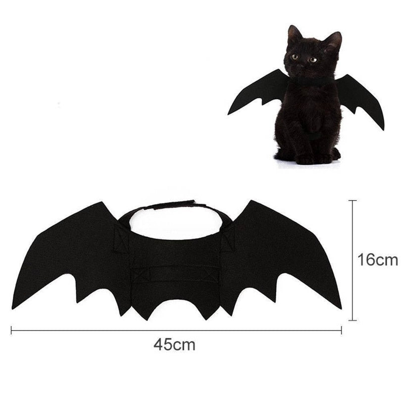 Ailes de chauve-souris noires pour chat, accessoire Halloween