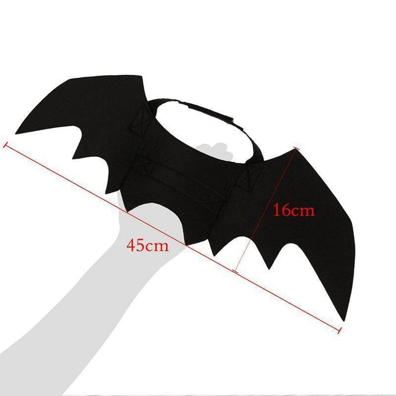Ailes de chauve-souris noires pour chat, accessoire Halloween
