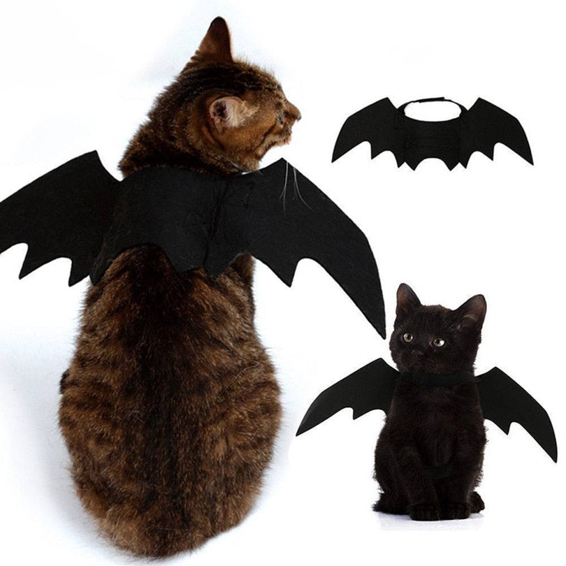 Ailes de chauve-souris noires pour chat, accessoire Halloween