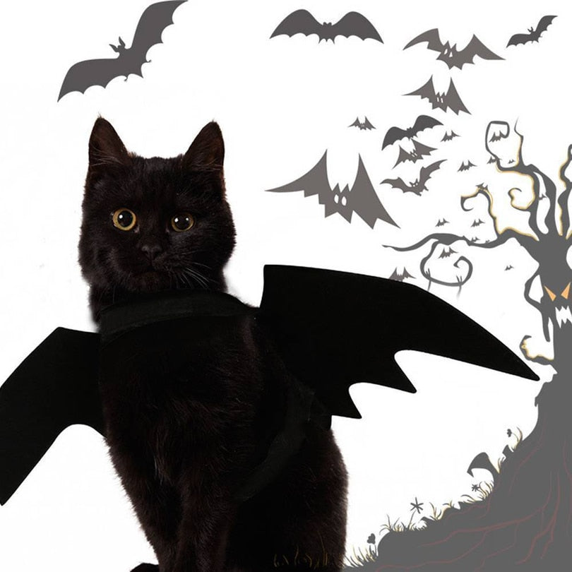 Ailes de chauve-souris noires pour chat, accessoire Halloween