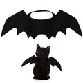 Ailes de chauve-souris noires pour chat, accessoire Halloween