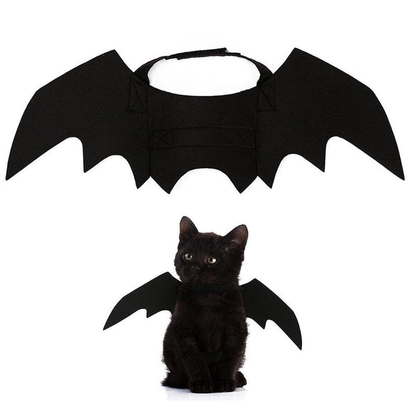Ailes de chauve-souris noires pour chat, accessoire Halloween
